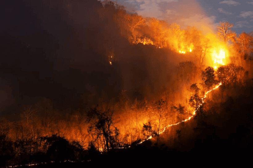 Wildfire burning on hillside with flames and smoke, forest fire danger, environmental awareness.