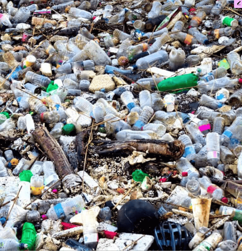 Extensive plastic waste in water bodies from pollution.